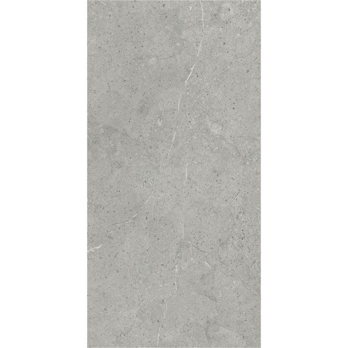 SPC Wandpaneel Stein Limestone Grau Matt 60 x 120 cm 4 mm SPC Wandpaneel Stein Limestone Grau Matt 60 x 120 cm 4 mm