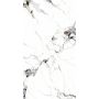 SPC Wandpaneel Marmor Carrara Weiss Glänzend 120 x 280 cm 4 mm (B)