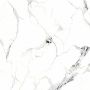 SPC Wandpaneel Marmor Carrara Weiss Glänzend 120 x 280 cm 4 mm (C)