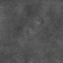 SPC Wandpaneel Stein Limestone Schwarz Matt 60 x 120 cm 4 mm
