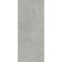 SPC Wandpaneel Stein Limestone Grau Matt 120 x 280 cm 4 mm