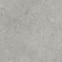 SPC Wandpaneel Stein Limestone Grau Matt 120 x 280 cm 4 mm