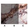 Wandpaneel XXL Breccia Kupfer Glänzend 120 x 280 cm 3 mm (C)