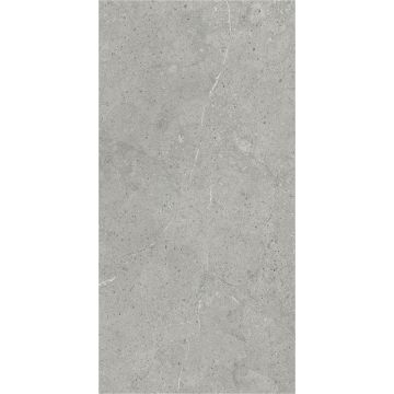 SPC Wandpaneel Stein Limestone Grau Matt 60 x 120 cm 4 mm