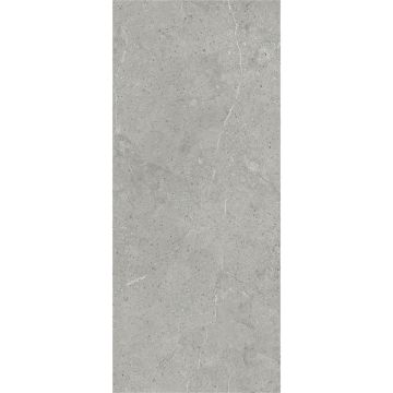 SPC Wandpaneel Stein Limestone Grau Matt 120 x 280 cm 4 mm