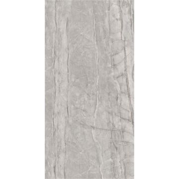 SPC Wandpaneel Stein Monza Grau Matt 60 x 120 cm 4 mm