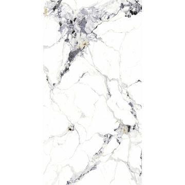 SPC Wandpaneel Marmor Carrara Weiss Glänzend 120 x 280 cm 4 mm (A)