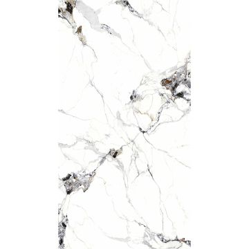 SPC Wandpaneel Marmor Carrara Weiss Glänzend 120 x 280 cm 4 mm (B)