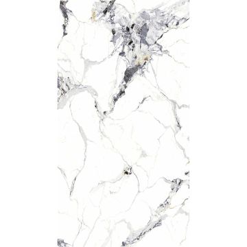 SPC Wandpaneel Marmor Carrara Weiss Glänzend 120 x 280 cm 4 mm (C)