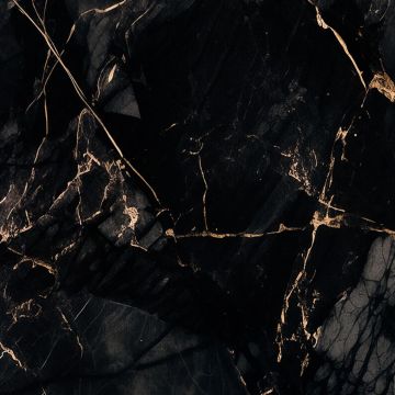 Wandpaneel XXL Portoro Schwarz Glänzend 120 x 280 cm 3 mm (B)