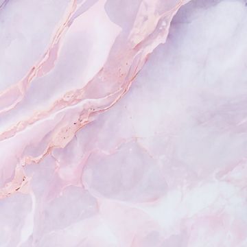 Wandpaneel XXL Statuario Rosa Glänzend 120 x 280 cm 3 mm (A)