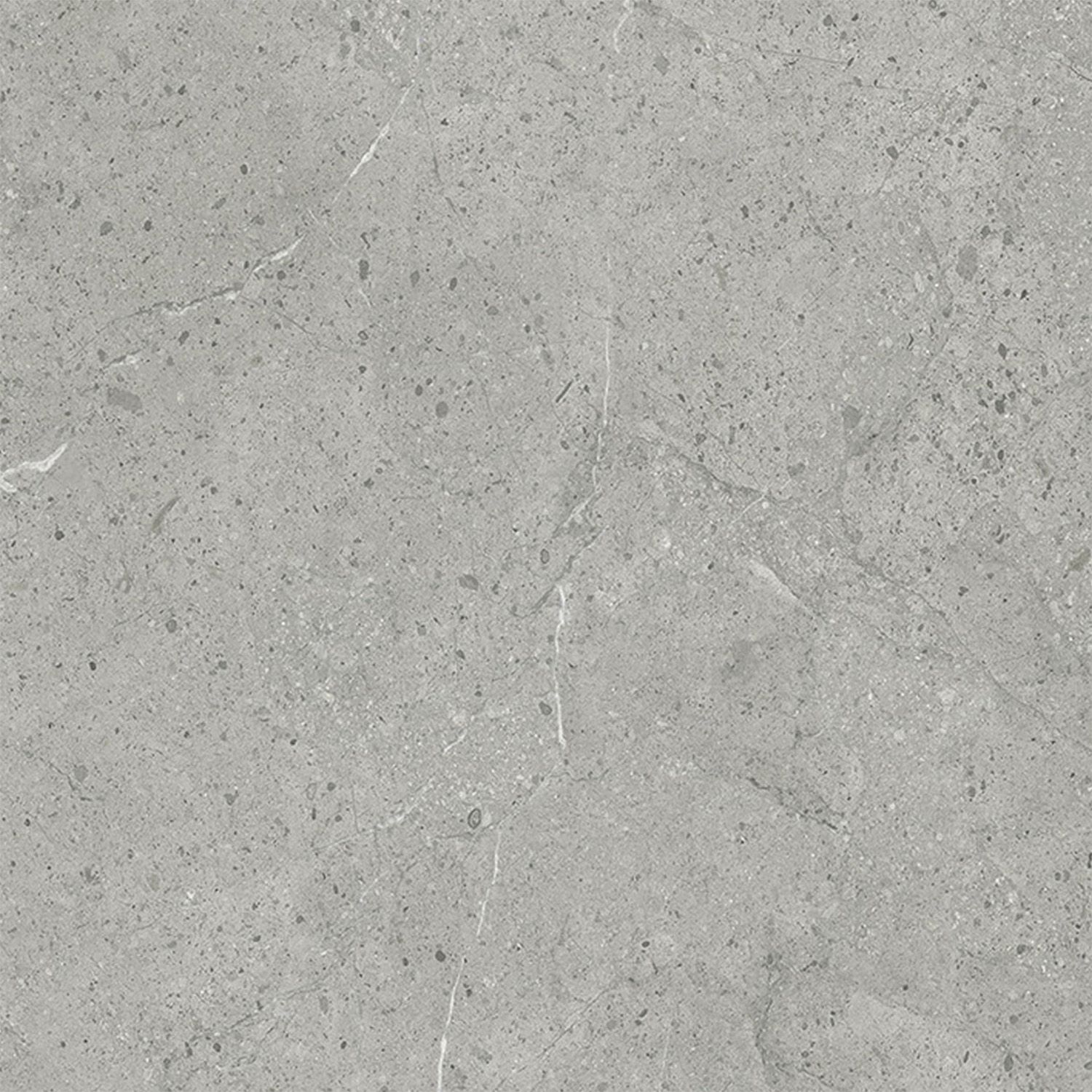 SPC Wandpaneel Stein Limestone Grau Matt 60 x 120 cm 4 mm SPC Wandpaneel Stein Limestone Grau Matt 60 x 120 cm 4 mm