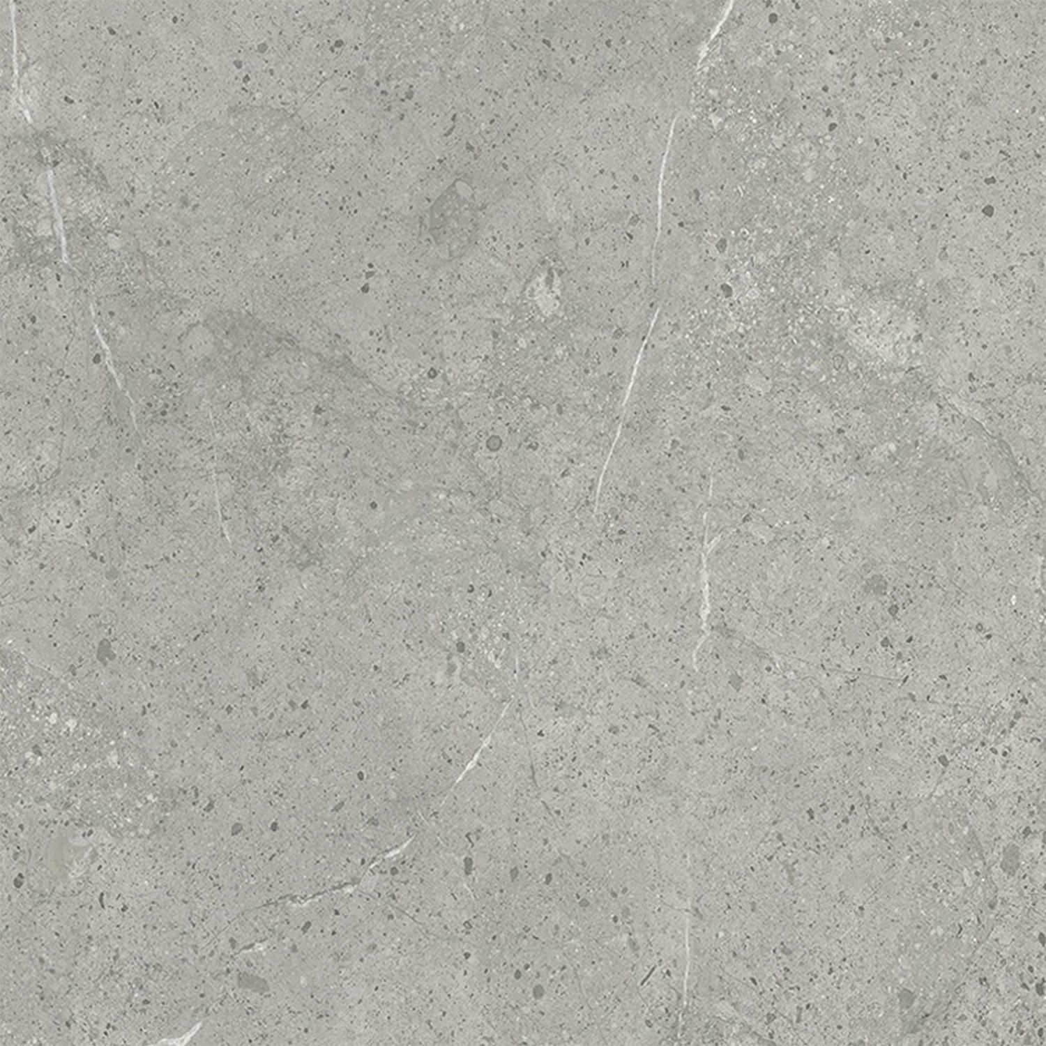 SPC Wandpaneel Stein Limestone Grau Matt 120 x 280 cm 4 mm SPC Wandpaneel Stein Limestone Grau Matt 120 x 280 cm 4 mm