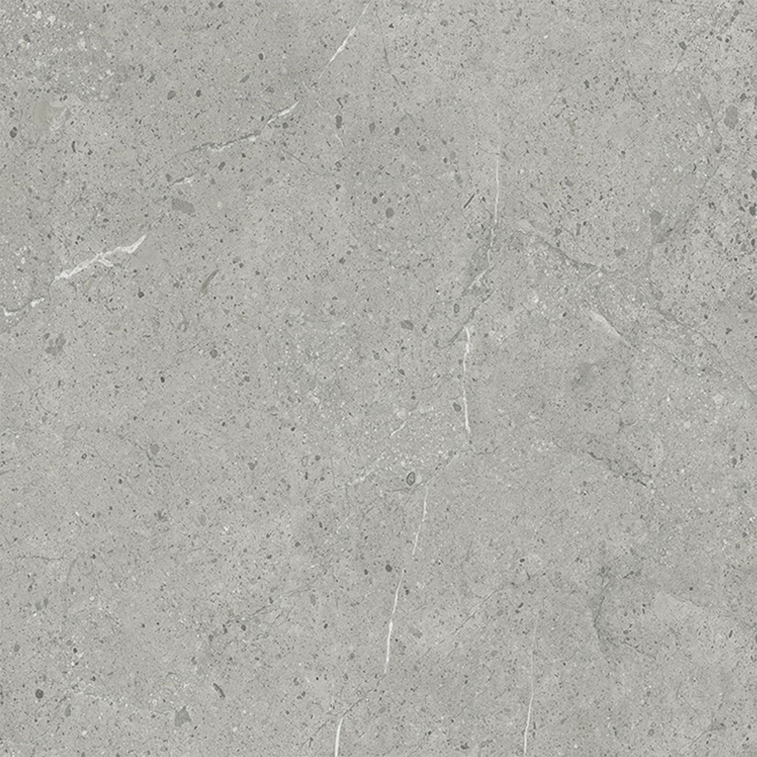 SPC Wandpaneel Stein Limestone Grau Matt 120 x 280 cm 4 mm SPC Wandpaneel Stein Limestone Grau Matt 120 x 280 cm 4 mm