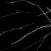 Marmor Marquina Schwarz Glänzend