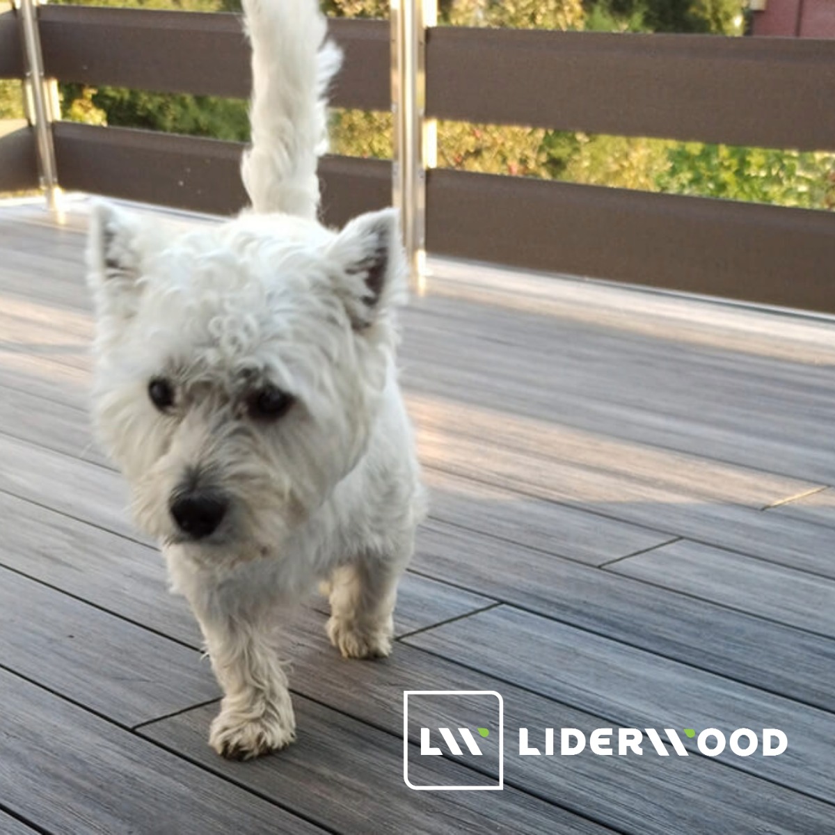 Terrassendielen – Alles, was du darüber wissen solltest