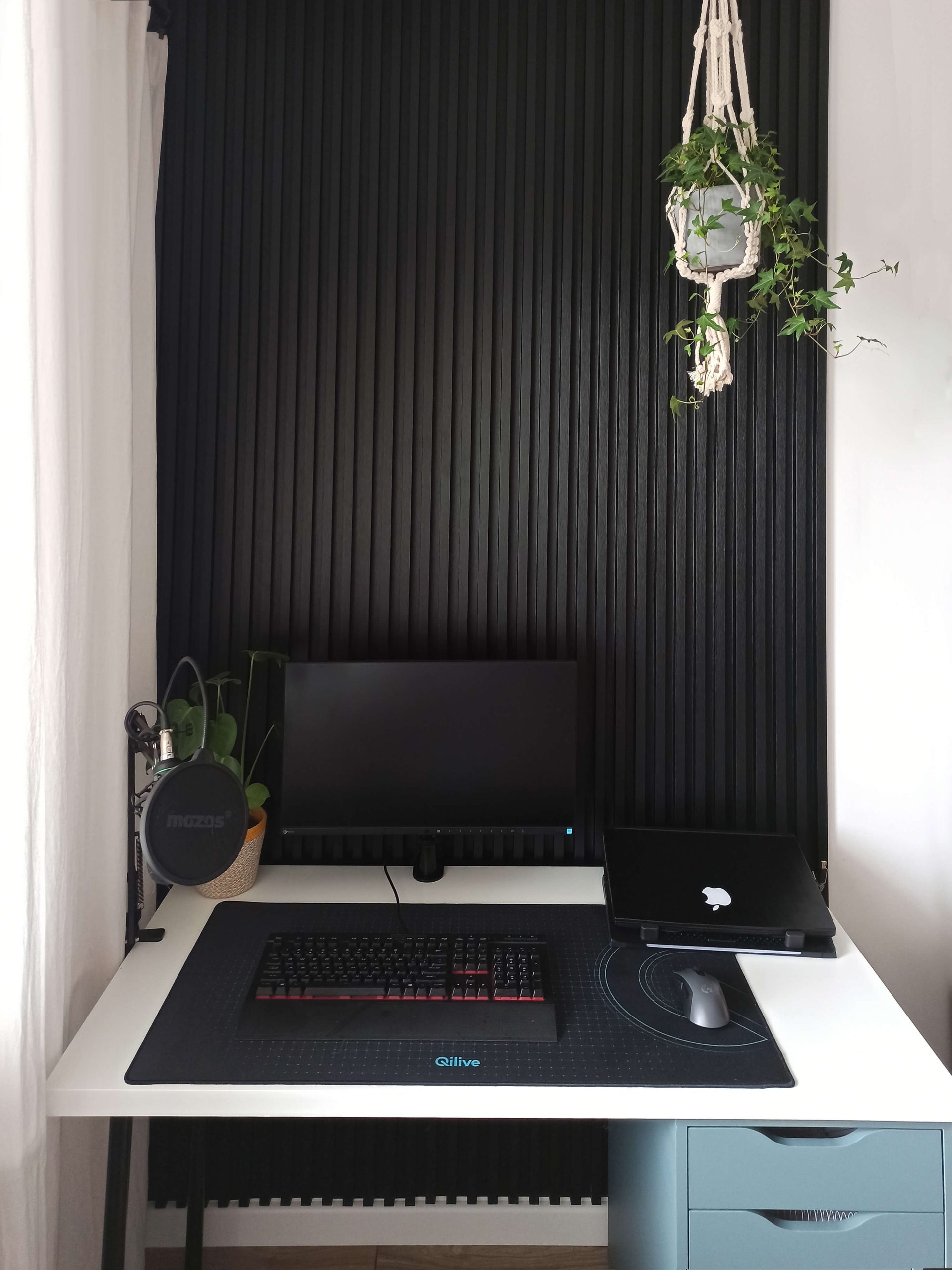 Schwarze lamellen auf einer weißen Wand - Dekorative Wandlamellen Satin Schwarz