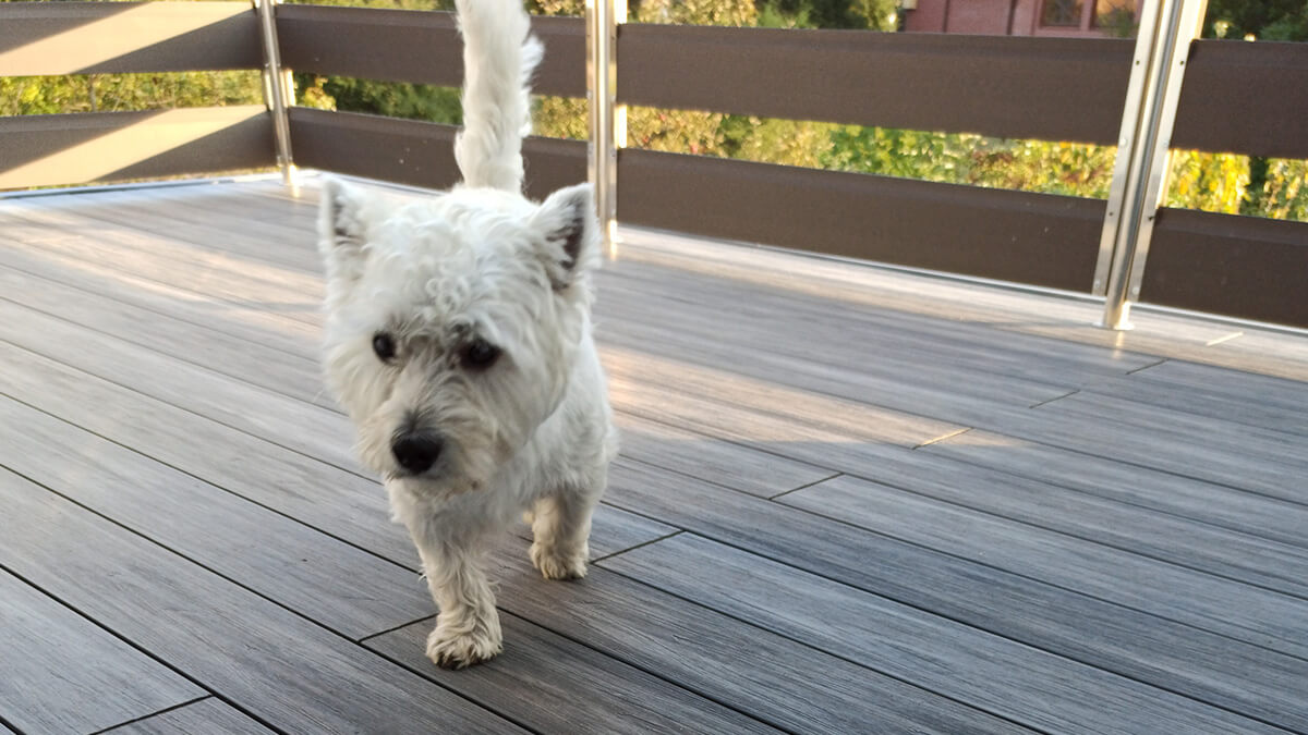 Balkon und Treppen - WPC Terrassendielen Premium Gray