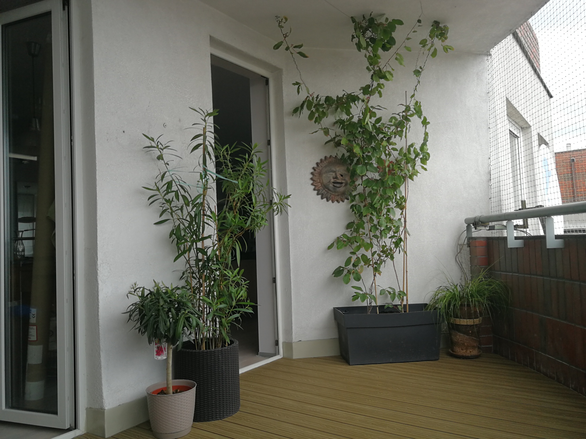 Honey Teak 3D Balkon – Harmonie im urbanen Raum